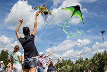 Load image into Gallery viewer, triangle kite-grassland