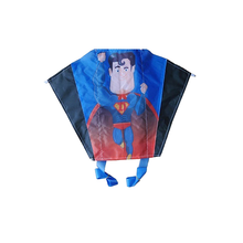 Load image into Gallery viewer, customize logo pocket kite