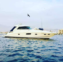 Load image into Gallery viewer, best selling bird scarer hawk kite and 4m telescopic pole