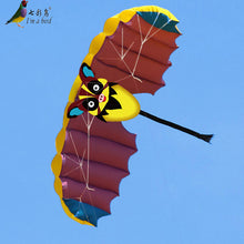 Load image into Gallery viewer, Dual line power kite-Bat