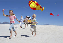 Load image into Gallery viewer, best selling inflatable whale animal kite