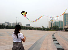 Load image into Gallery viewer, HengDa huge classic 15m/30m snake kite
