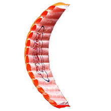 Load image into Gallery viewer, Dual line power kite-bird