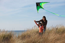 Load image into Gallery viewer, triangle kite-grassland