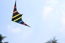 Load image into Gallery viewer, dual line stunt kite-Aurora