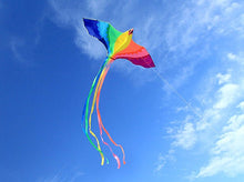 Load image into Gallery viewer, hot sale Phoenix Kites 74-Inch