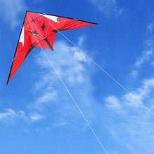 Load image into Gallery viewer, dual line stunt kite-Sea monster
