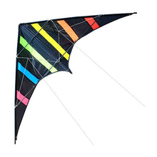 Load image into Gallery viewer, dual line stunt kite-Aurora
