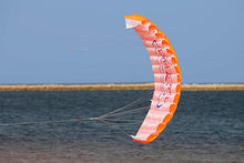 Load image into Gallery viewer, Dual line power kite-bird