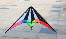 Load image into Gallery viewer, dual line stunt kite-Lightning