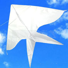 Load image into Gallery viewer, DIY Drawing Swallow Kite