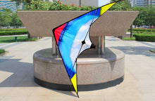 Load image into Gallery viewer, 48inch dual line stunt kite-feiyu