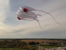 Load image into Gallery viewer, new 2sqm white nylon trilobite kite