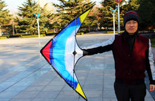 Load image into Gallery viewer, 48inch dual line stunt kite-feiyu