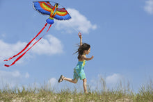 Load image into Gallery viewer, Outdoor Sport Parrot Kites for kids