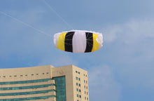 Load image into Gallery viewer, Dual line parafoil kite-B parafoil