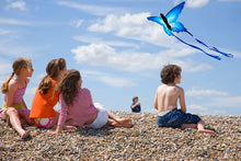 Load image into Gallery viewer, Easy To Fly Blue Butterfly Kite