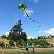Load image into Gallery viewer, huge easy to fly 8m snake kite
