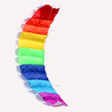 Load image into Gallery viewer, Dual line power kite-Rainbow