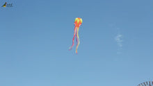 Load and play video in Gallery viewer, best selling 5m octopus kite