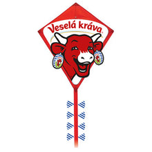 Load image into Gallery viewer, full color printing mini diamond logo kite