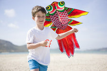 Load image into Gallery viewer, outdoor sport goldfish kids kite