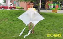 Load image into Gallery viewer, Butterfly DIY Drawing Kite
