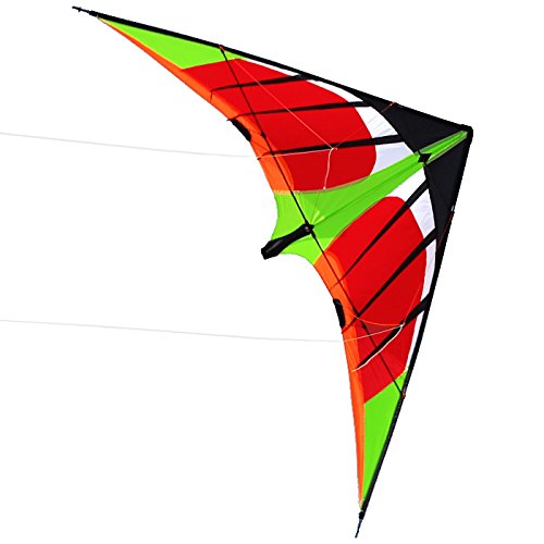 dual line stunt kite-swifts