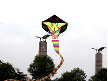 Load image into Gallery viewer, HengDa huge classic 15m/30m snake kite
