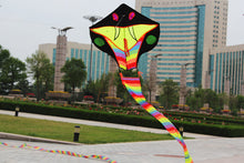 Load image into Gallery viewer, HengDa huge classic 15m/30m snake kite
