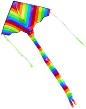 Load image into Gallery viewer, classic rainbow delta kite
