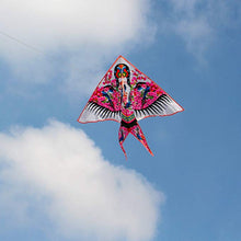 Load image into Gallery viewer, classic swallow kite with flying line
