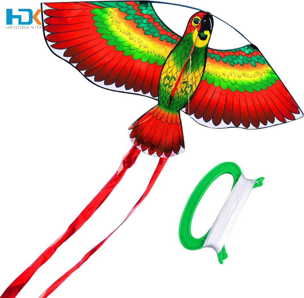 Outdoor Sport Parrot Kites for kids