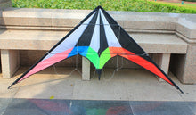 Load image into Gallery viewer, dual line stunt kite-Lightning
