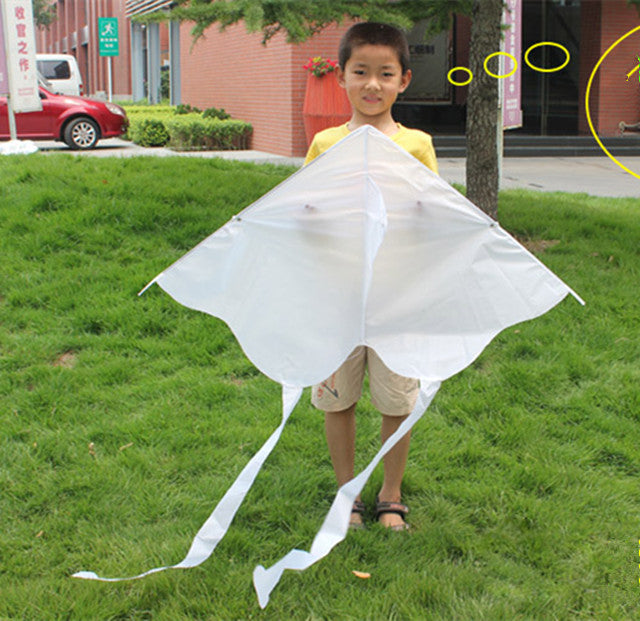 Butterfly DIY Drawing Kite