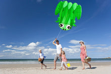 Load image into Gallery viewer, outdoor sport inflatable frag animal kite
