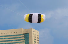 Load image into Gallery viewer, Dual line parafoil kite-B parafoil
