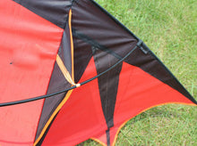 Load image into Gallery viewer, vampire bat kite with resin rod
