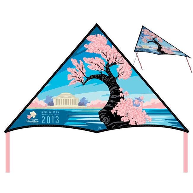 full color printing delta logo kite for promotion