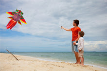 Load image into Gallery viewer, outdoor sport goldfish kids kite
