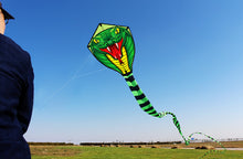 Load image into Gallery viewer, huge 15m snake animal kite
