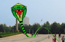 Load image into Gallery viewer, huge 15m snake animal kite
